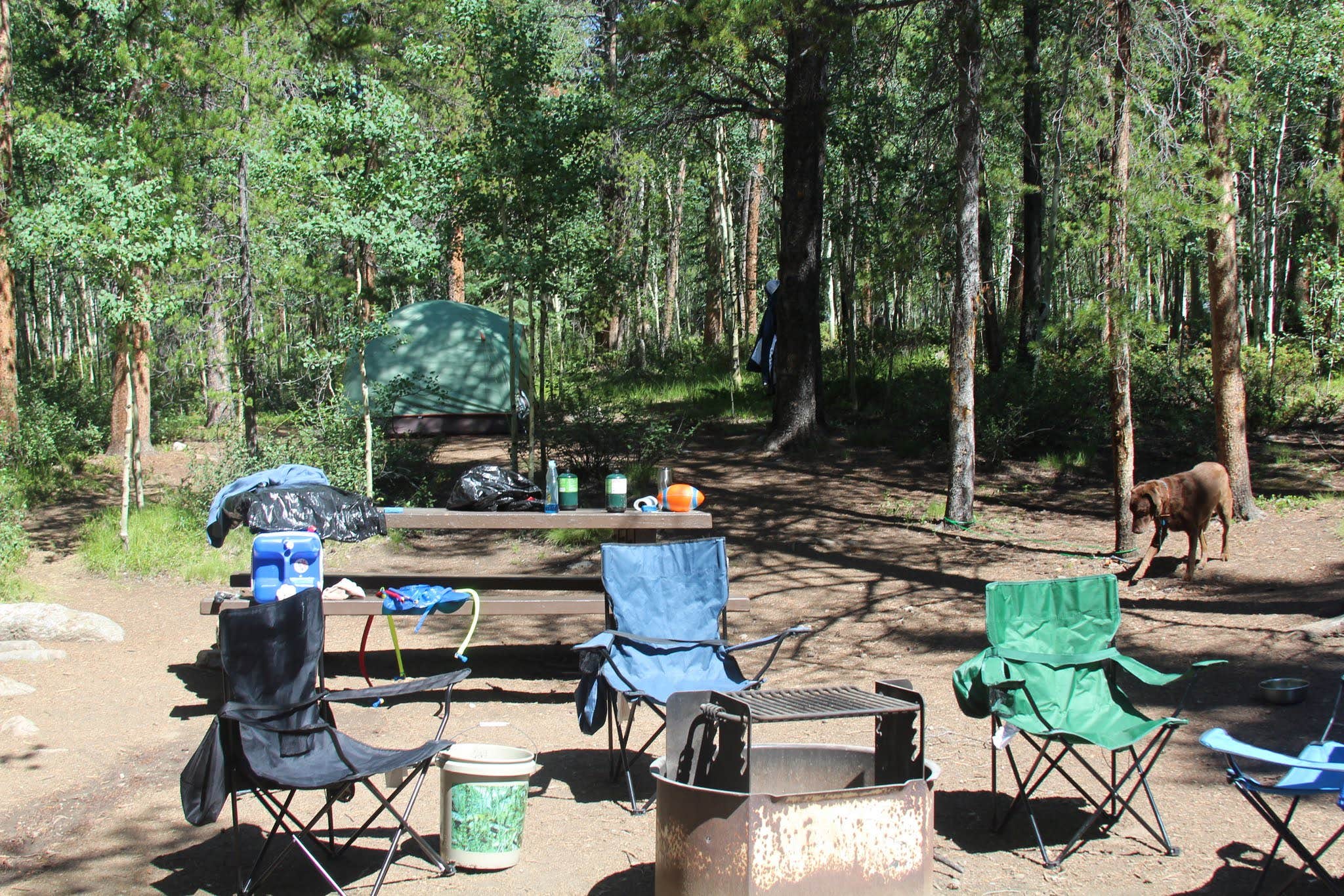 Camper submitted image from Collegiate Peaks - 4