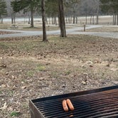 Review photo of Lake of the Ozarks State Park Campground by David W., March 14, 2021