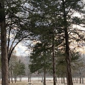 Review photo of Lake of the Ozarks State Park Campground by David W., March 14, 2021