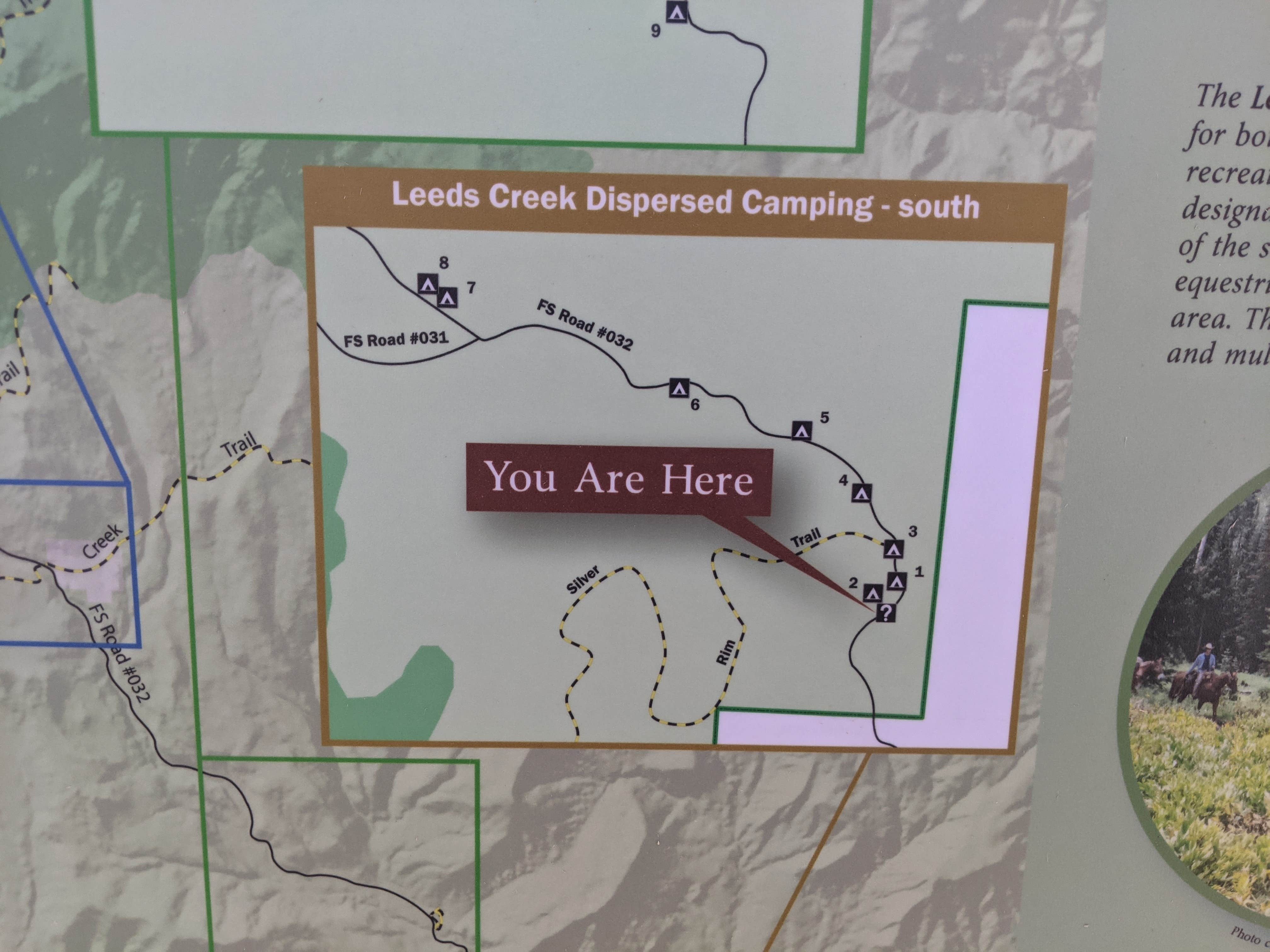 Camper submitted image from Leeds Canyon Dispersed #2 - 5
