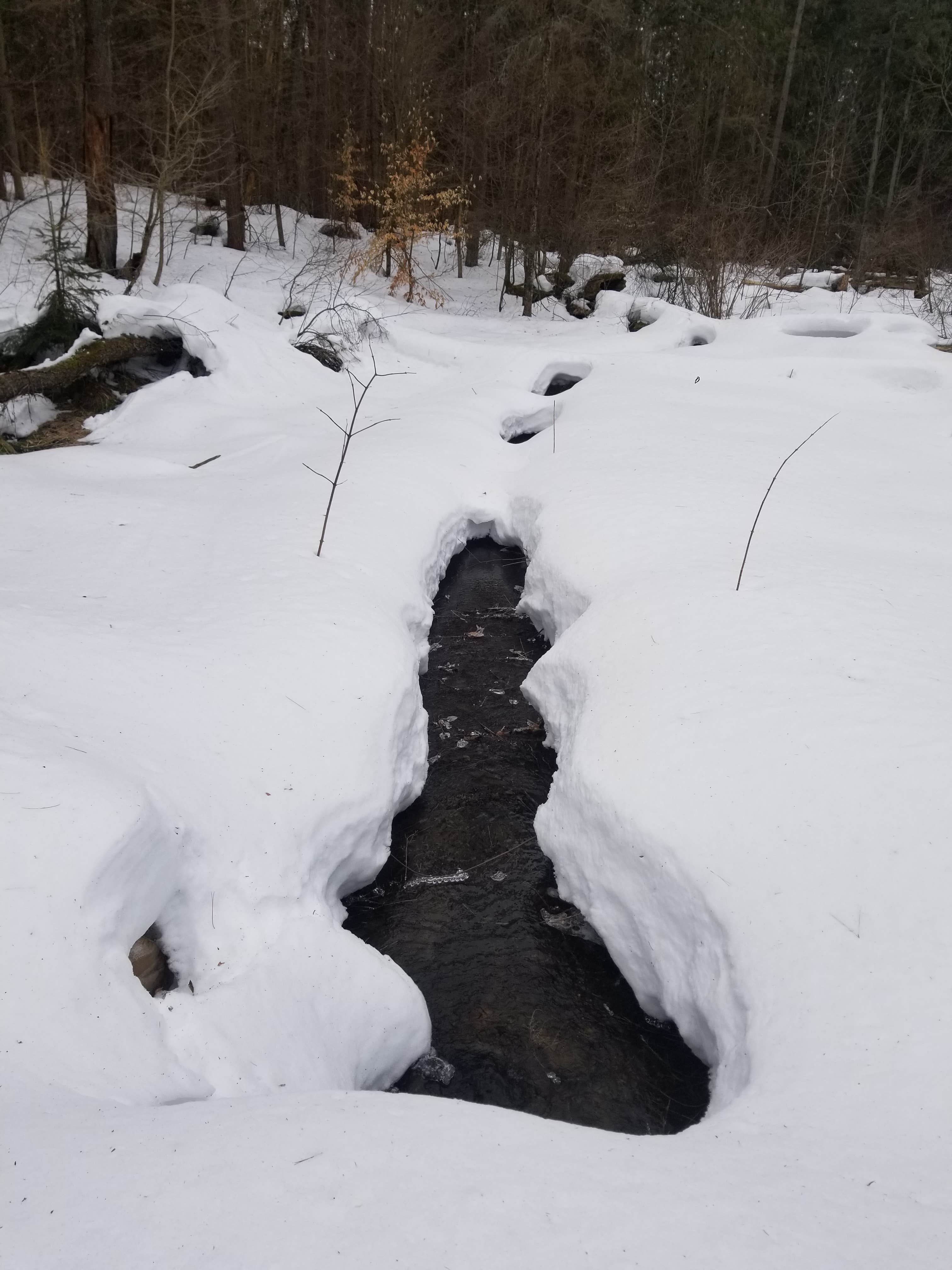 Camper submitted image from Winona Forest CCC Camp - 3