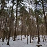 Review photo of Winona Forest CCC Camp by Quade S., March 15, 2021