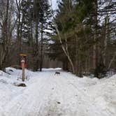 Review photo of Winona Forest CCC Camp by Quade S., March 15, 2021