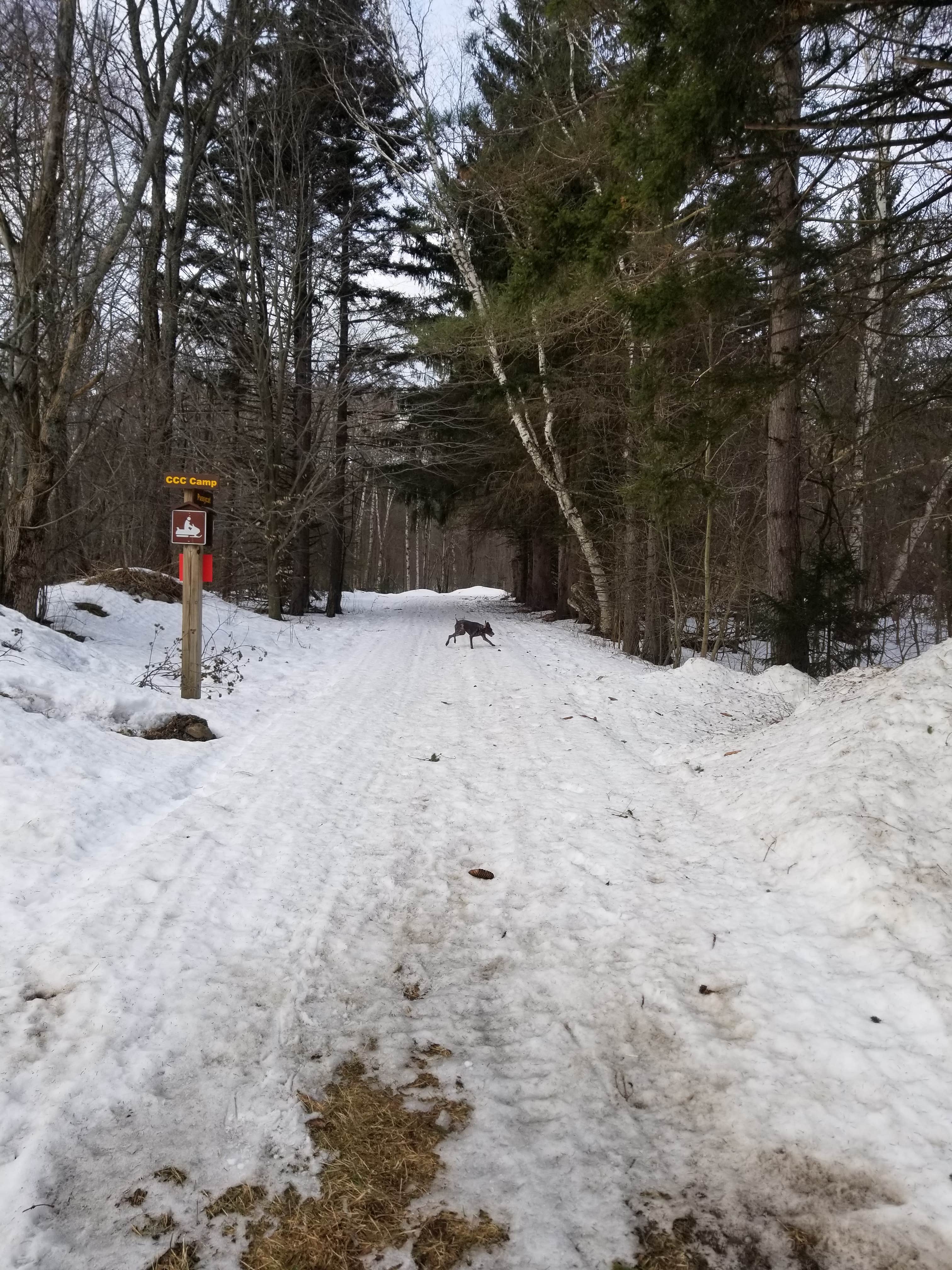 Camper submitted image from Winona Forest CCC Camp - 5