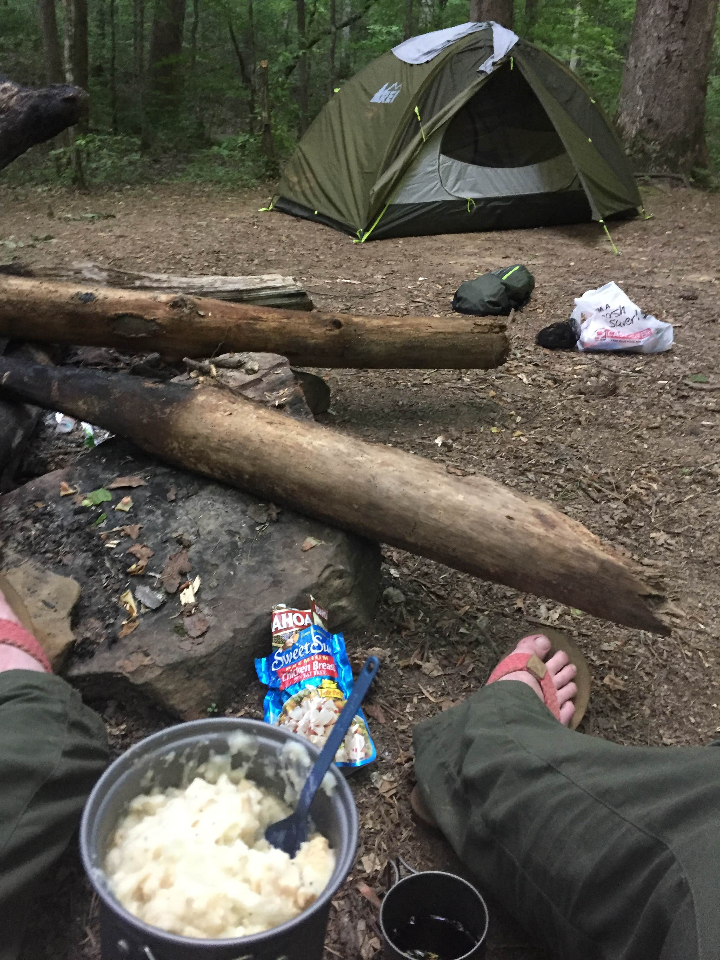 Matthew P.'s photo at Thompson Creek Trail Campsites near Natural Bridge, AL