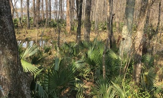 Camping near Shady Acres Campground: Blakeley State Park Campground, Spanish Fort, Alabama