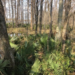 Blakeley State Park