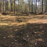 Review photo of Blakeley State Park Campground by Nicole G., March 15, 2021