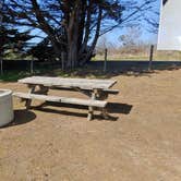 Review photo of San Simeon Creek Campground — Hearst San Simeon State Park by Laura M., March 15, 2021