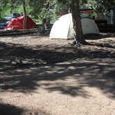 Review photo of East Portal Campground at Estes Park   by Jessie T., May 30, 2018