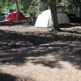 Review photo of Estes Park Campground at East Portal by Jessie T., May 30, 2018