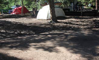 Jessie T.'s photo at East Portal Campground at Estes Park near Estes Park, CO