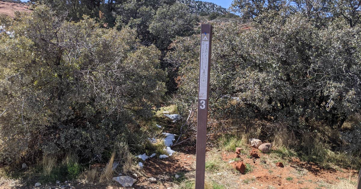 Leeds Canyon Dispersed #3