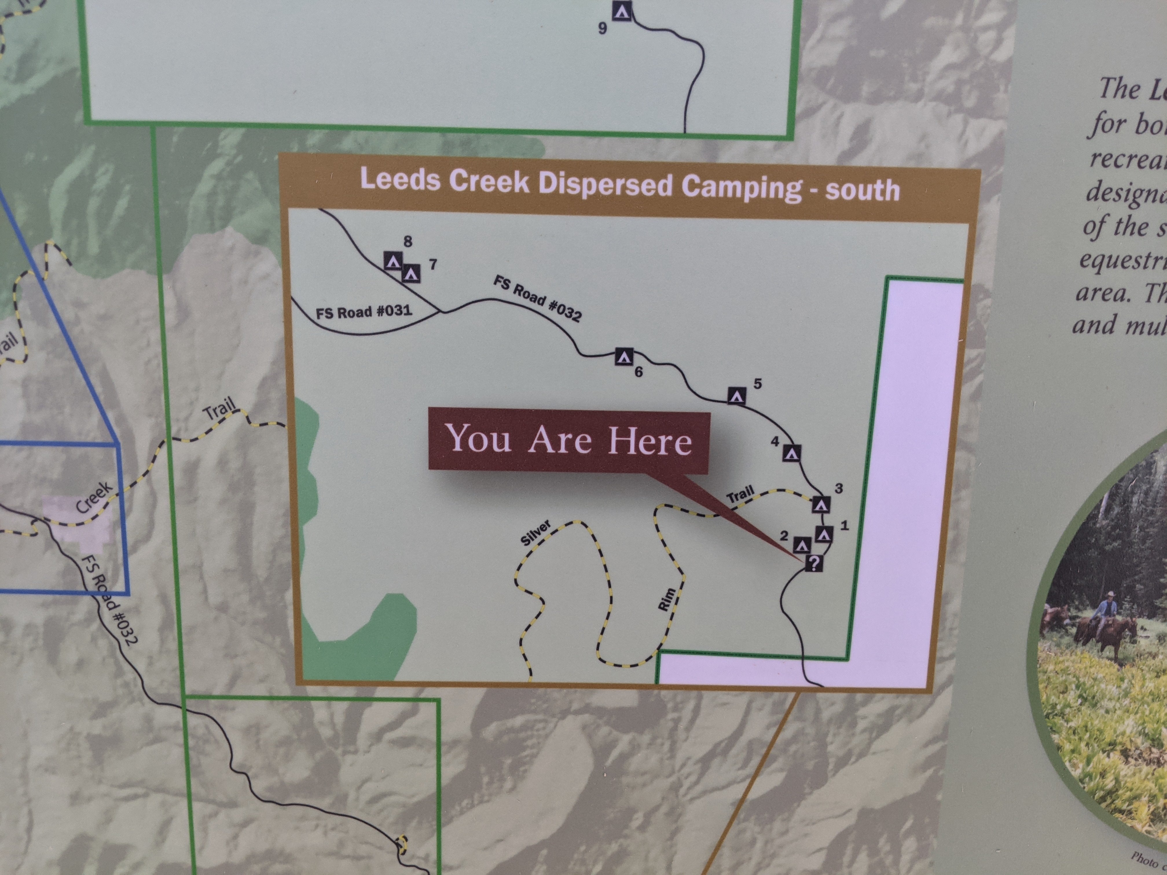 Camper submitted image from Leeds Canyon Dispersed #3 - 3