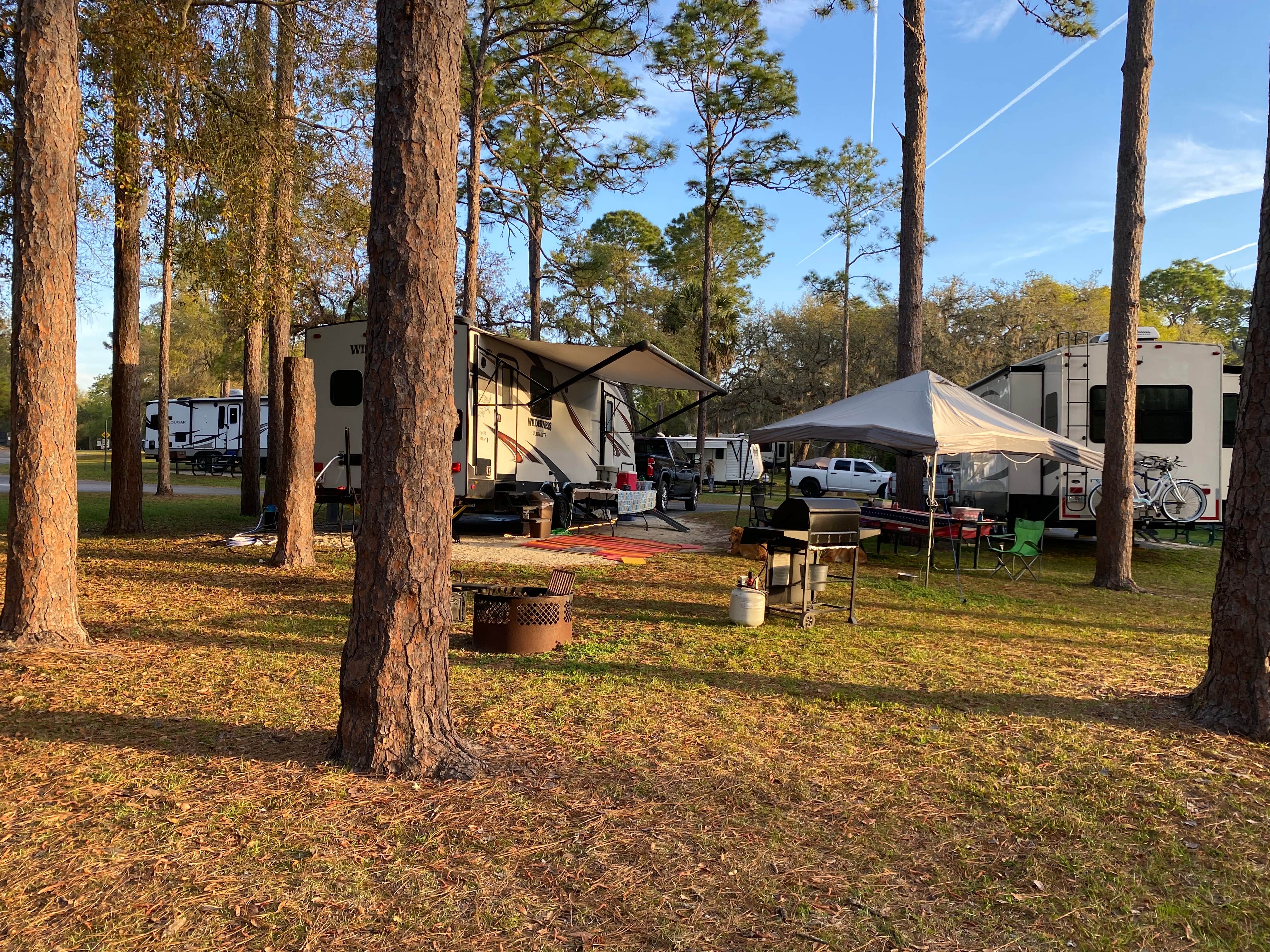 Camper submitted image from Salt Springs Recreation Area - 1