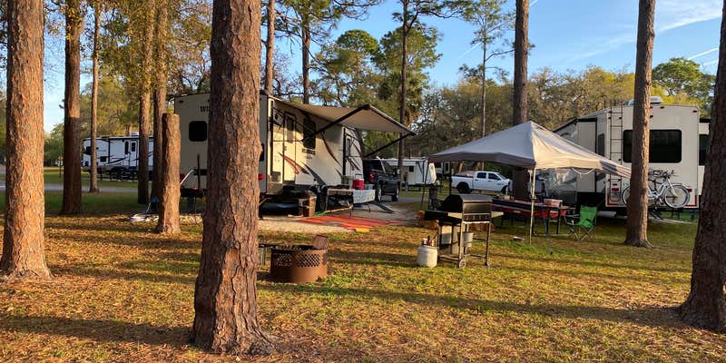 Camper submitted image from Salt Springs Recreation Area