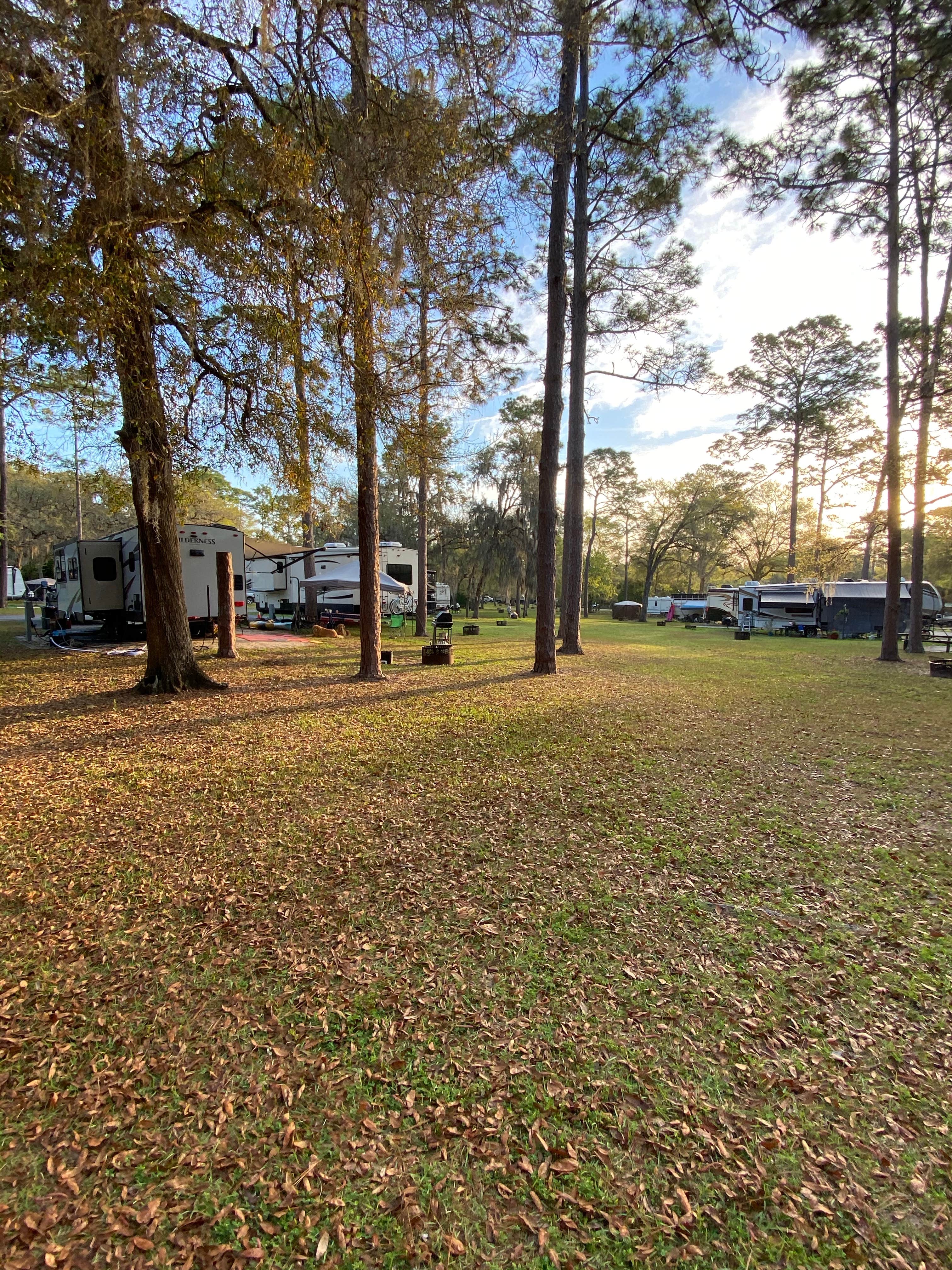 Liz H.'s photo at Salt Springs Recreation Area near Pomona Park, FL