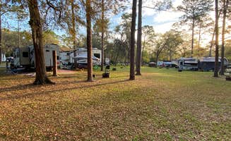 Liz H.'s photo at Salt Springs Recreation Area near Ocala National Forest