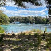 Review photo of Salt Springs Recreation Area by Liz H., March 15, 2021