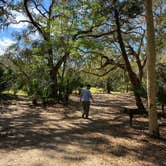 Review photo of Salt Springs Recreation Area by Liz H., March 15, 2021