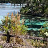 Review photo of Salt Springs Recreation Area by Liz H., March 15, 2021