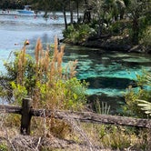 Review photo of Salt Springs Recreation Area by Liz H., March 15, 2021
