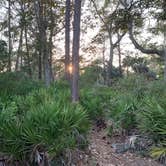 Review photo of Hunting Island State Park Campground by Neil T., March 15, 2021