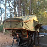 Review photo of Hunting Island State Park Campground by Neil T., March 15, 2021