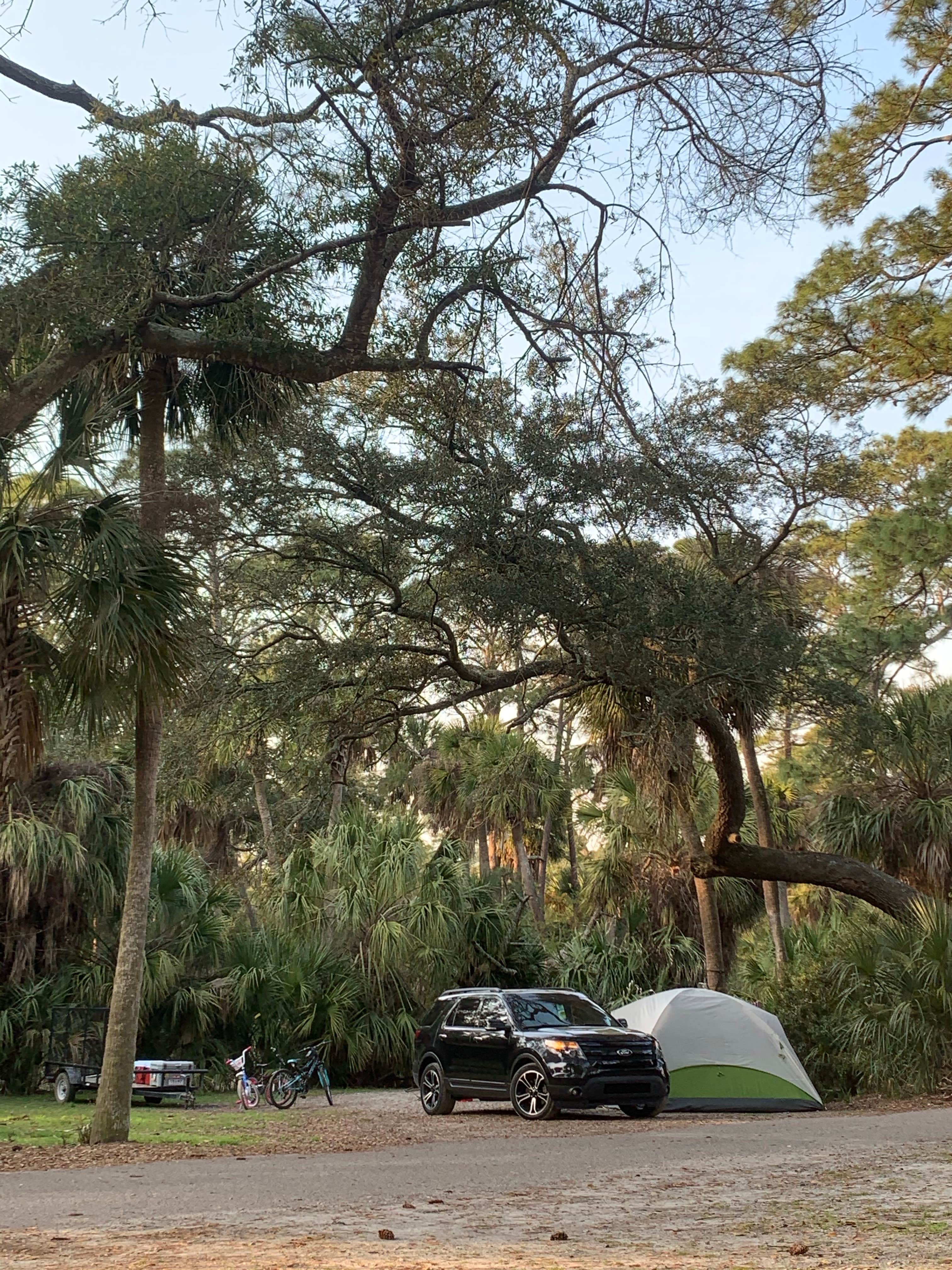 Neil T.'s photo at Hunting Island State Park Campground near Folly Beach, SC