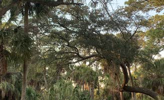 Neil T.'s photo at Hunting Island State Park Campground near Port Royal, SC