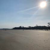 Review photo of Hunting Island State Park Campground by Neil T., March 15, 2021