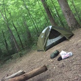 Review photo of Thompson Creek Trail Campsites by Matthew P., July 13, 2016
