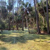 Review photo of Hunting Island State Park Campground by Neil T., March 15, 2021