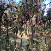 Review photo of Hunting Island State Park Campground by Neil T., March 15, 2021