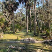 Review photo of Hunting Island State Park Campground by Neil T., March 15, 2021