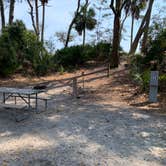 Review photo of Hunting Island State Park Campground by Neil T., March 15, 2021