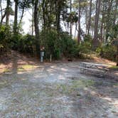 Review photo of Hunting Island State Park Campground by Neil T., March 15, 2021