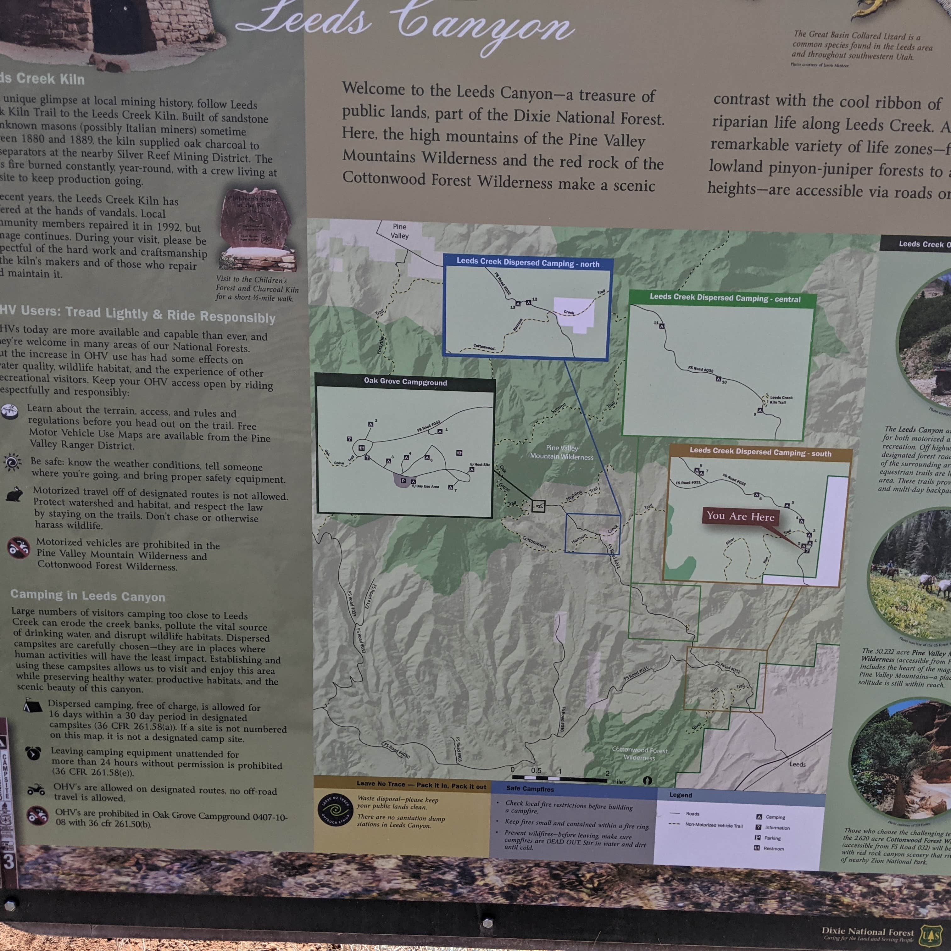 Signs & Maps