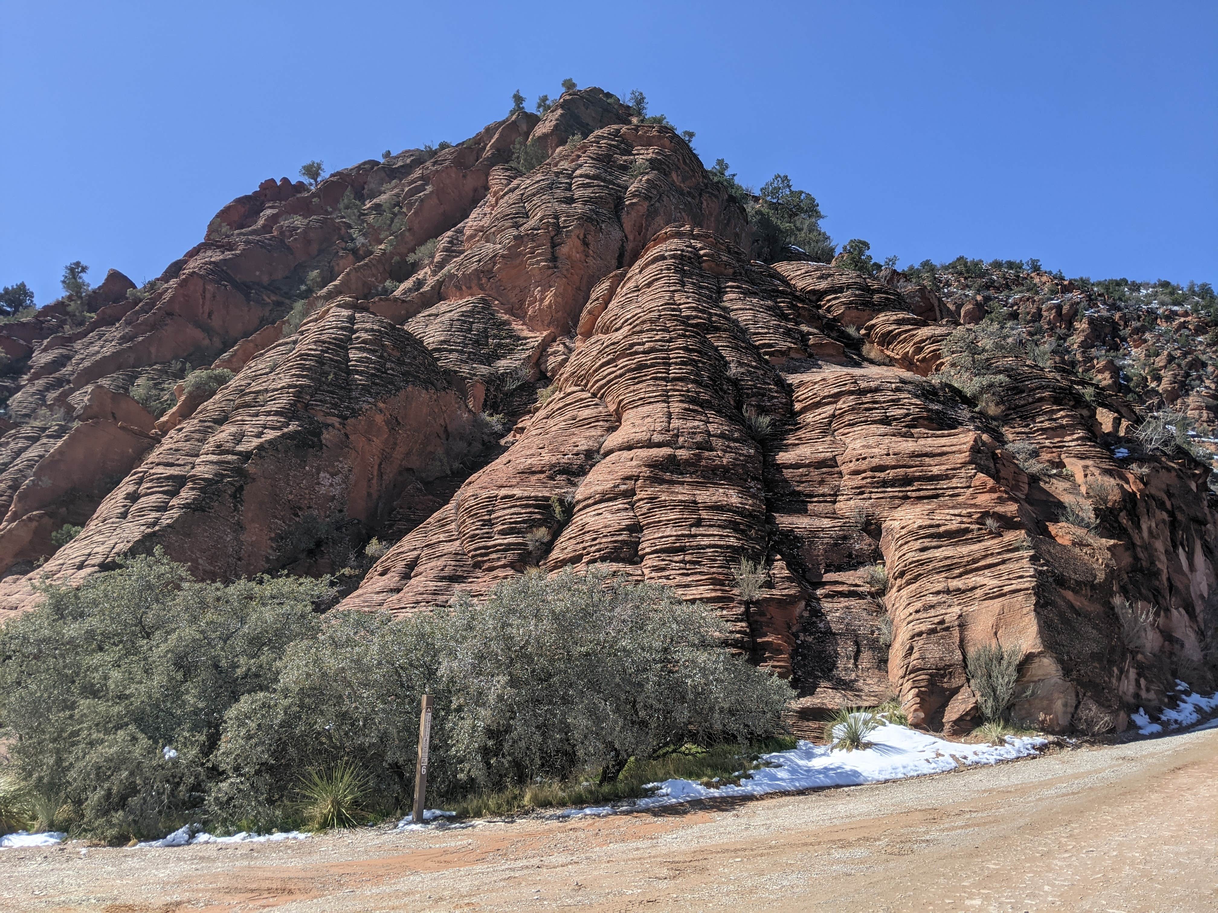 Camper submitted image from Leeds Canyon Dispersed #6 - 2