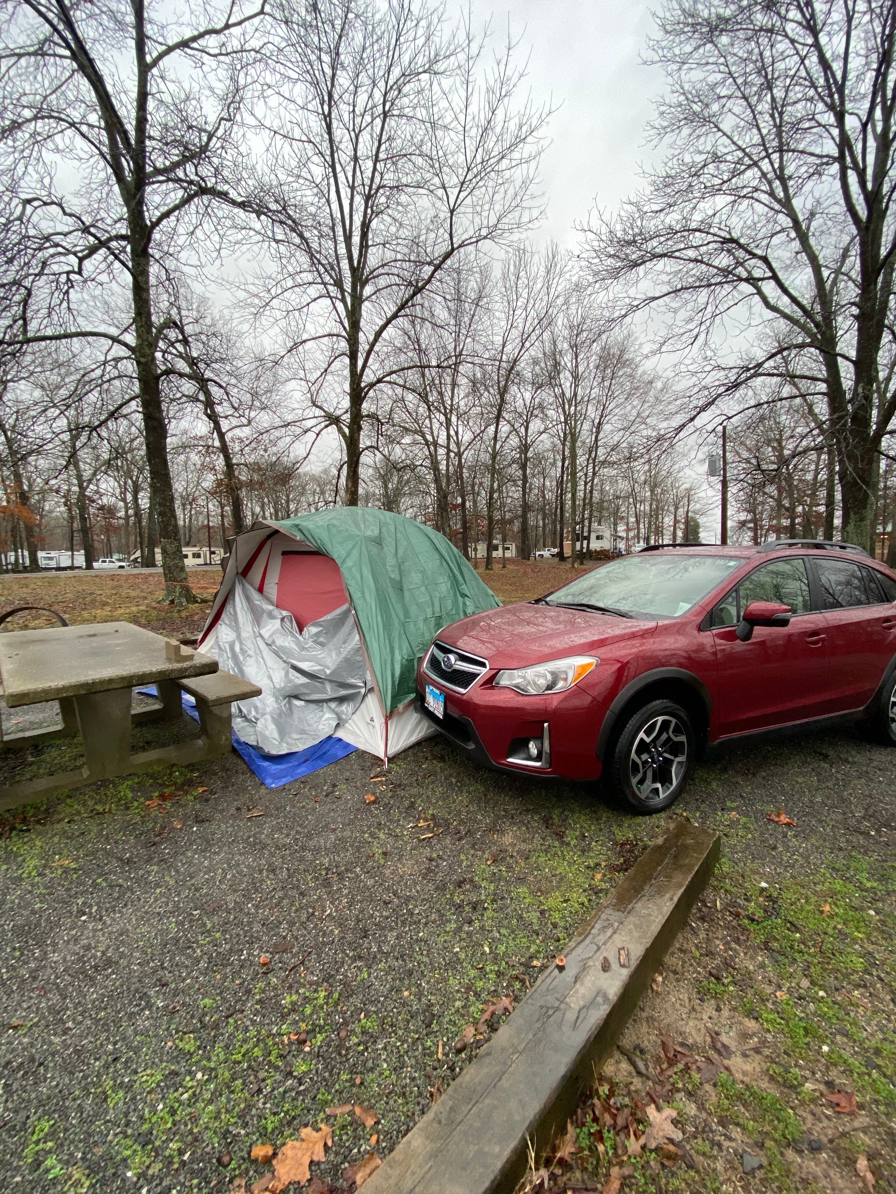 Camper submitted image from Piney Campground - 1