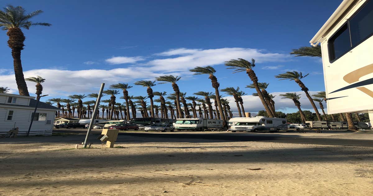 Palm Springs Thousand Trails Camping Palm Desert, CA The Dyrt