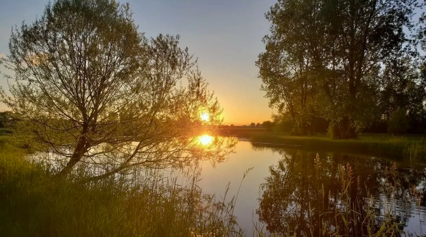 Hoffman Lake Campground INC. The Dyrt