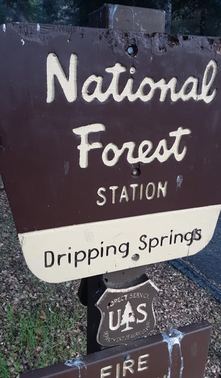 Camper-submitted photo at Dripping Springs Campground near Ranchita, CA