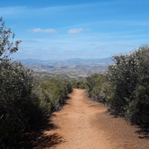 Review photo of Dripping Springs Campground by Ryan W., March 15, 2021