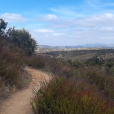 Review photo of Dripping Springs Campground by Ryan W., March 15, 2021