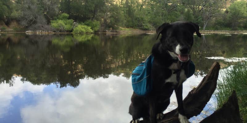 Camper submitted image from Joseph D Grant County Park - Horse Camp