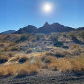 Review photo of Lone Tree Dispersed Camping BLM by Brittney  C., March 15, 2021