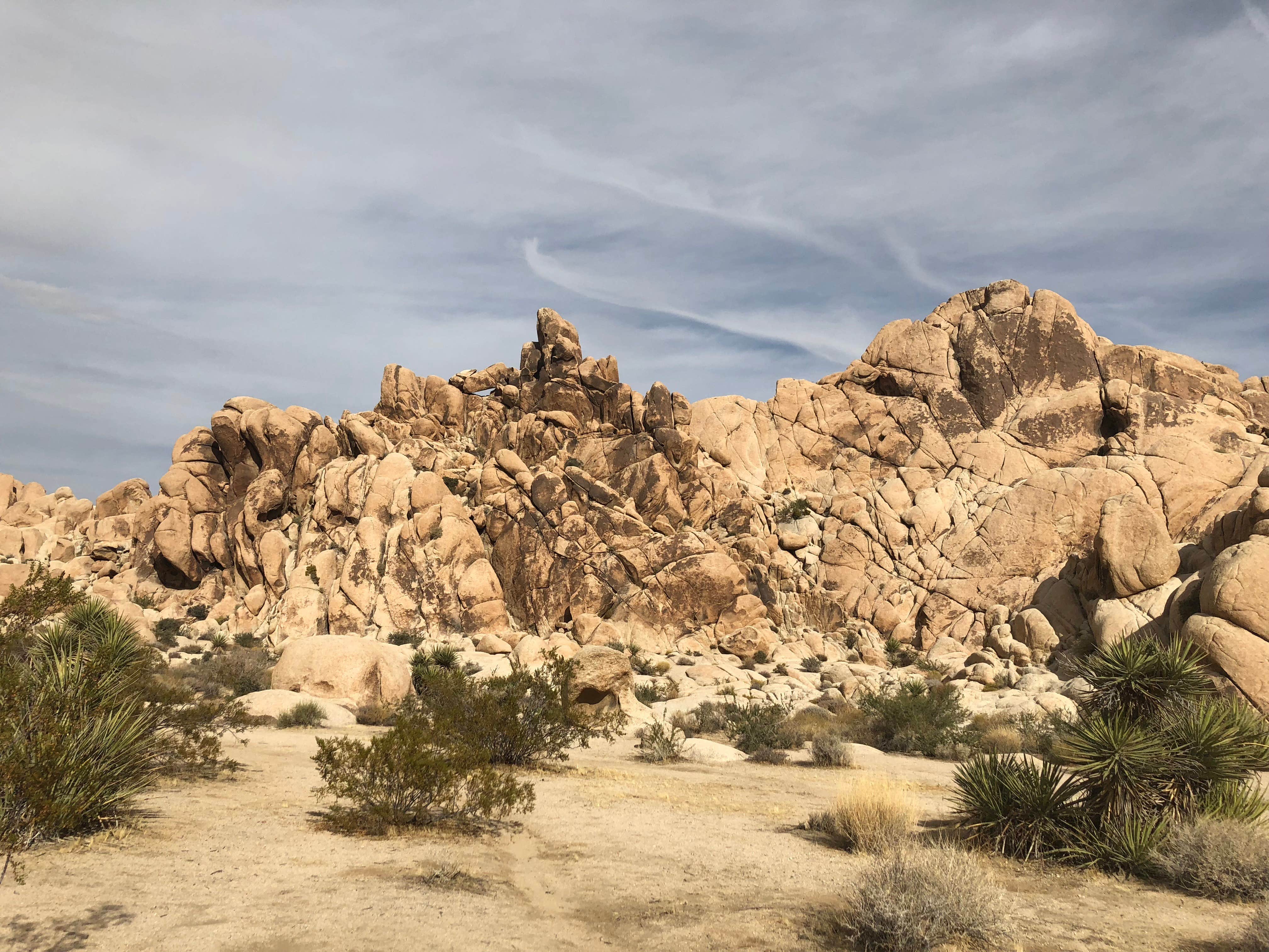 Indian Cove Campground — Joshua Tree National Park