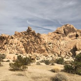 Review photo of Indian Cove Campground — Joshua Tree National Park by Amina H., May 30, 2018