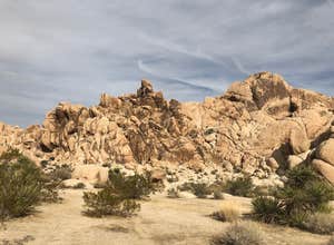 Indian Cove Campground — Joshua Tree National Park